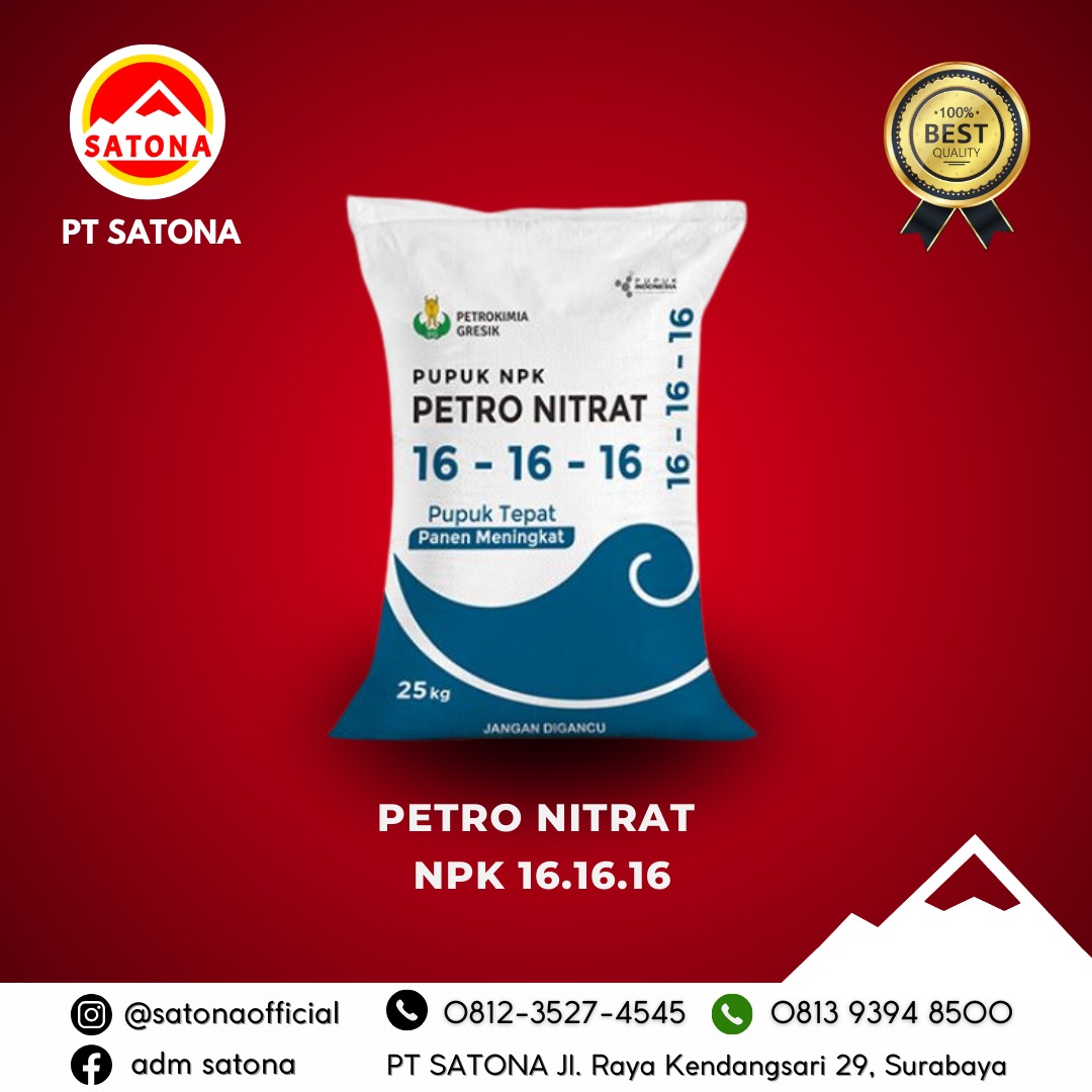 Pupuk NPK 16-16-16<h2><strong>Pupuk NPK 16-16-16 – Pupuk Seimbang untuk Pertumbuhan Optimal Tanaman Anda!</strong></h2><p>Tingkatkan hasil pertanian dan perkebunan Anda dengan <strong>Pupuk NPK 16-16-16</strong>, pilihan tepat untuk memberikan nutrisi lengkap yang dibutuhkan tanaman. Dengan kandungan <strong>Nitrogen (16%)</strong>, <strong>Fosfat (P2O5 16%)</strong>, dan <strong>Kalium (K 16%)</strong>, pupuk ini menyediakan unsur hara seimbang yang mendukung pertumbuhan tanaman yang sehat dan produktif.</p><p><strong>Keunggulan Pupuk NPK 16-16-16:</strong></p><ul><li><strong>Nitrogen dalam Bentuk Nitrat</strong>: Nitrogen yang mudah diserap oleh tanaman, mendukung pertumbuhan vegetatif yang cepat dan sehat.</li><li><strong>Unsur Hara Tersedia Secara Optimal</strong>: Kandungan unsur hara yang seimbang memastikan tanaman mendapatkan semua nutrisi penting yang diperlukan untuk tumbuh subur.</li><li><strong>Keseimbangan Hara NPK</strong>: Dengan rasio 16-16-16, pupuk ini memberikan asupan yang seimbang untuk mendukung pertumbuhan akar, batang, daun, serta pembungaan dan pembuahan tanaman.</li></ul><p><strong>Pupuk Serbaguna untuk Berbagai Jenis Tanaman!</strong> Pupuk NPK 16-16-16 sangat cocok untuk digunakan pada berbagai jenis tanaman, baik tanaman pangan, hortikultura, maupun tanaman perkebunan. Dengan aplikasi yang tepat, Anda dapat merasakan hasil yang optimal dan tanaman yang sehat sepanjang musim.</p><p><strong>Tingkatkan Produktivitas, Dapatkan Hasil Panen Berkualitas!</strong> Pupuk NPK 16-16-16 membantu tanaman Anda tumbuh lebih kuat, menghasilkan panen lebih banyak dan berkualitas tinggi. Dapatkan sekarang dan saksikan pertumbuhan tanaman yang lebih optimal!</p><p><strong>Pemesanan Langsung:</strong><br>Untuk informasi lebih lanjut atau pemesanan produk, kunjungi website kami di <a href="http://www.satona.co.id/">www.satona.co.id</a> atau hubungi kami melalui WhatsApp di <strong>0813-9394-8500</strong>.</p><p><strong>Alamat Kantor:</strong><br><strong>PT Satona</strong><br>Jalan Raya Kendangsari No 29, Surabaya</p>