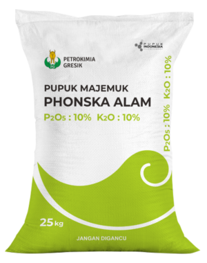 Phonska Alam<h2><strong>Phonska Alam – Pupuk Organik Berkualitas untuk Tanaman Sehat dan Hasil Panen Optimal!</strong></h2><p>Dapatkan hasil pertanian terbaik dengan <strong>Phonska Alam</strong>, pupuk organik berkualitas yang dirancang untuk meningkatkan kesuburan tanah dan mendukung pertumbuhan tanaman secara alami. Dengan kandungan <strong>Nitrogen (5%)</strong>, <strong>Fosfat (10%)</strong>, dan <strong>Kalium (10%)</strong>, Phonska Alam memberikan nutrisi seimbang yang dibutuhkan tanaman untuk tumbuh subur dan menghasilkan panen berkualitas tinggi.</p><p><strong>Kenapa Phonska Alam?</strong></p><ul><li><strong>Bahan Baku Mineral Alam</strong>: Dibuat dari bahan-bahan alami yang ramah lingkungan, cocok untuk pertanian organik.</li><li><strong>Pertumbuhan Vegetatif Lebih Cepat</strong>: Diperkaya dengan Nitrogen yang membantu pertumbuhan daun lebih hijau dan sehat, membuat tanaman lebih kuat dan subur.</li><li><strong>Kandungan N, P, K Seimbang</strong>: Nutrisi lengkap untuk pertumbuhan yang maksimal—dari akar yang kuat hingga daun yang lebat, mendukung hasil panen yang melimpah.</li><li><strong>Mudah Larut dan Diserap</strong>: Kandungan hara yang mudah larut memastikan tanaman cepat menyerap nutrisi, menghasilkan tanaman yang tumbuh optimal.</li></ul><p><strong>Keunggulan Lain:</strong></p><ul><li><strong>Efektif untuk Pertanian Organik</strong>: Cocok digunakan dalam pertanian organik, menjaga kesuburan tanah secara berkelanjutan tanpa merusak lingkungan.</li><li><strong>Kemasan 25kg</strong>: Dengan kemasan yang praktis, ideal untuk petani dalam skala besar yang ingin hasil maksimal.</li></ul><p><strong>Hasil Panen Lebih Banyak, Tanaman Lebih Sehat!</strong> Phonska Alam adalah solusi tepat untuk menghasilkan tanaman yang kuat, sehat, dan menghasilkan panen dengan kualitas terbaik. <strong>Tingkatkan produktivitas pertanian Anda</strong> dengan <strong>Phonska Alam</strong>, dan rasakan manfaatnya untuk pertumbuhan tanaman yang subur, hijau, dan hasil panen yang melimpah!</p><p><strong>Pemesanan Langsung:</strong><br>Untuk informasi lebih lanjut atau pemesanan produk, kunjungi website kami di <a href="http://www.satona.co.id/">www.satona.co.id</a> atau hubungi kami melalui WhatsApp di <strong>0813-9394-8500</strong>.</p><p><strong>Alamat Kantor:</strong><br><strong>PT Satona</strong><br>Jalan Raya Kendangsari No 29, Surabaya</p>