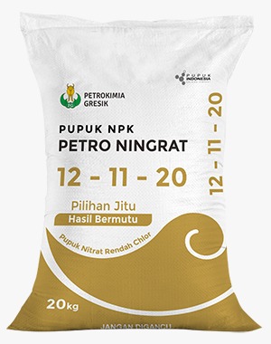 Petro Ningrat<h2><strong>Petro Ningrat – Pupuk Spesial untuk Tanaman Tembakau dan Hortikultura Berkualitas!</strong></h2><p><strong>Petro Ningrat</strong> adalah pupuk unggul yang diformulasikan khusus untuk memenuhi kebutuhan nutrisi tanaman tembakau dan hortikultura. Dengan kandungan unsur hara yang tepat—<strong>Nitrogen (N) 12%</strong>, <strong>Fosfat (P2O5) 11%</strong>, dan <strong>Kalium (K2O) 20%</strong>—produk ini membantu meningkatkan kualitas dan hasil tanaman, serta mendukung pertumbuhan optimal.</p><p><strong>Spesifikasi:</strong></p><ul><li><strong>Nitrogen (N)</strong>: 12%, berbasis Nitrat (NO3) yang mudah diserap oleh tanaman untuk mendukung pertumbuhan yang cepat dan sehat.</li><li><strong>Fosfat (P2O5)</strong>: 11%, membantu pengembangan akar yang kuat dan meningkatkan kualitas bunga serta buah.</li><li><strong>Kalium (K2O)</strong>: 20%, memperkuat ketahanan tanaman terhadap penyakit dan meningkatkan kualitas hasil panen.</li></ul><p><strong>Keunggulan:</strong></p><ul><li><strong>Diformulasikan untuk Tembakau &amp; Hortikultura</strong>: Unsur hara yang disesuaikan dengan kebutuhan tanaman tembakau dan tanaman hortikultura, menjamin pertumbuhan yang optimal dan hasil yang lebih baik.</li><li><strong>Rendah Hara Chlor (Cl)</strong>: Menurunkan kandungan klorida untuk meningkatkan kualitas daun tembakau dan tanaman hortikultura yang sensitif terhadap chlor, menghasilkan produk dengan kualitas lebih tinggi.</li><li><strong>Meningkatkan Kualitas Tembakau</strong>: Membantu memperbaiki warna, aroma, rasa, dan kelenturan daun tembakau, memberikan hasil yang lebih bernilai dan lebih memuaskan.</li><li><strong>Meningkatkan Ketahanan Tanaman</strong>: Membantu tanaman tumbuh tegak dan kokoh, lebih tahan terhadap serangan hama dan penyakit, serta merangsang pertumbuhan umbi dan buah.</li><li><strong>Cocok untuk Lahan Kering</strong>: Ideal digunakan pada lahan kering karena membantu tanaman bertahan dan berkembang dengan baik meski dalam kondisi kekurangan air.</li></ul><p><strong>Petro Ningrat</strong> adalah pilihan terbaik bagi petani tembakau dan hortikultura yang ingin mendapatkan hasil panen berkualitas tinggi, dengan tanaman yang lebih kuat, sehat, dan produktif. Jangan ragu untuk menggunakan <strong>Petro Ningrat</strong> dan nikmati hasil yang luar biasa pada tanaman Anda!</p><p><strong>Pemesanan Langsung:</strong><br>Untuk informasi lebih lanjut atau pemesanan produk, kunjungi website kami di <a href="http://www.satona.co.id/">www.satona.co.id</a> atau hubungi kami melalui WhatsApp di <strong>0813-9394-8500</strong>.</p><p><strong>Alamat Kantor:</strong><br><strong>PT Satona</strong><br>Jalan Raya Kendangsari No 29, Surabaya</p>