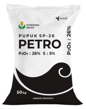 Pupuk SP - 26<h2><strong>Pupuk SP-26 – Pupuk Fosfat Berkualitas untuk Hasil Panen Unggul!</strong></h2><p><strong>Pupuk SP-26</strong> adalah pupuk granul dengan kandungan fosfat tinggi yang diformulasikan untuk meningkatkan kualitas hasil panen. Dengan kandungan <strong>Fosfat (P2O5)</strong> sebanyak 26% dan <strong>Sulfur (S)</strong> 5%, serta fosfat larut air 12%, pupuk ini sangat efektif dalam mendukung pertumbuhan tanaman dan meningkatkan kualitas produk pertanian.</p><p><strong>Spesifikasi:</strong></p><ul><li><strong>Sulfur (S)</strong>: 5%, penting untuk meningkatkan kualitas tanaman dan memperbaiki kandungan protein hasil panen.</li><li><strong>Fosfat (P2O5)</strong>: 26%, membantu perkembangan akar yang lebih kuat dan meningkatkan pembungaan serta pembuahan.</li><li><strong>Fosfat Larut Air (P2O5 Larut Air)</strong>: 12%, memastikan unsur hara tersedia dengan cepat bagi tanaman.</li><li><strong>Bentuk</strong>: Granul, mudah diaplikasikan dan tidak berdebu.</li><li><strong>Warna</strong>: Abu kecoklatan, memberikan indikasi kualitas bahan baku yang baik.</li><li><strong>Sifat</strong>: Larut dalam air, mempermudah penyerapan unsur hara oleh tanaman.</li><li><strong>Kemasan</strong>: 50kg, ideal untuk penggunaan dalam skala besar.</li></ul><p><strong>Manfaat Utama:</strong></p><ul><li><strong>Meningkatkan Kualitas Hasil Panen</strong>: Fosfat yang terkandung dalam pupuk ini membantu memperbaiki warna, aroma, rasa, serta ukuran umbi, membuat hasil panen lebih bernilai tinggi dan menarik.</li><li><strong>Meningkatkan Ketahanan Tanaman</strong>: Dengan kandungan sulfur yang mendukung pertumbuhan tanaman secara keseluruhan, pupuk ini membantu tanaman menjadi lebih hijau dan subur.</li><li><strong>Hasil yang Lebih Kesat dan Berkualitas</strong>: Membantu menciptakan umbi yang lebih besar, padat, dan tahan lama.</li></ul><p><strong>Pupuk SP-26</strong> adalah pilihan ideal untuk tanaman yang membutuhkan peningkatan kualitas umbi, buah, dan hasil panen secara keseluruhan. Dengan penggunaan yang tepat, pupuk ini dapat membantu menghasilkan tanaman yang lebih kuat, sehat, dan menghasilkan produk berkualitas tinggi.</p><p><strong>Pemesanan Langsung:</strong><br>Untuk informasi lebih lanjut atau pemesanan produk, kunjungi website kami di <a href="http://www.satona.co.id/">www.satona.co.id</a> atau hubungi kami melalui WhatsApp di <strong>0813-9394-8500</strong>.</p><p><strong>Alamat Kantor:</strong><br><strong>PT Satona</strong><br>Jalan Raya Kendangsari No 29, Surabaya</p>